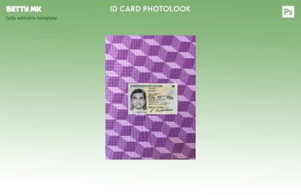 модерен стил Германија специјална лична карта е преден шаблон со фотолик